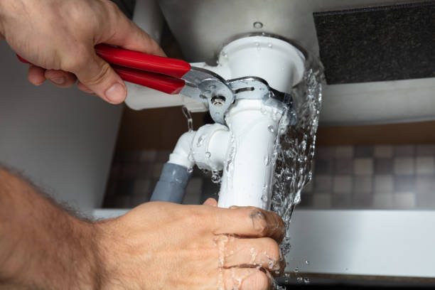 Best Water damage repair service  in La Grulla, TX