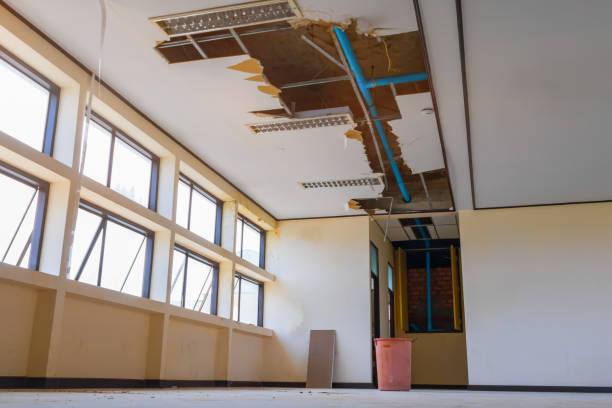 Best Water damage contractors near me  in La Grulla, TX