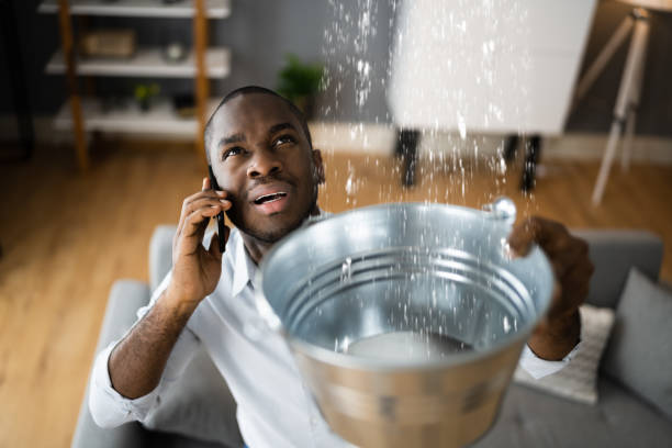 Best Flood restoration services  in La Grulla, TX