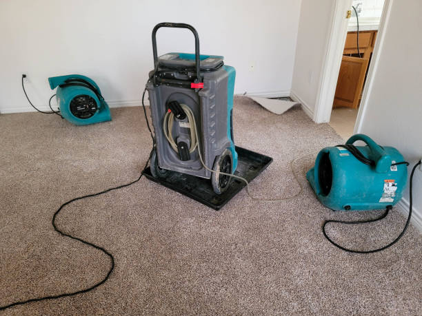 Best Water damage cleanup near me  in La Grulla, TX