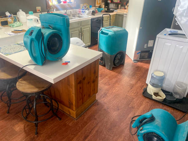 Best Commercial water damage restoration  in La Grulla, TX