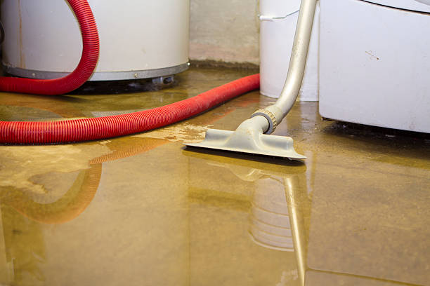 Best Water damage restoration near me  in La Grulla, TX