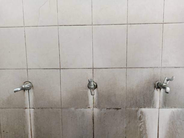 Reliable La Grulla, TX Water damage restoration Solutions