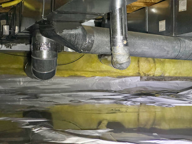 Best 24-hour water damage restoration  in La Grulla, TX