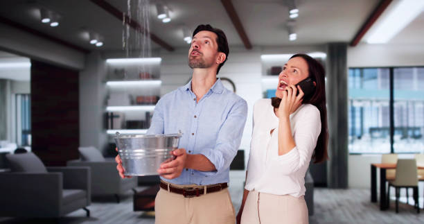Best Basement water damage restoration  in La Grulla, TX