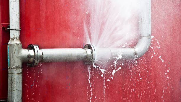 Trusted La Grulla, TX Water damage restoration Experts
